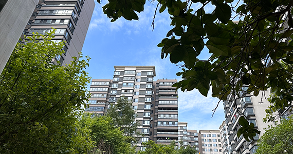 网站建设方案书